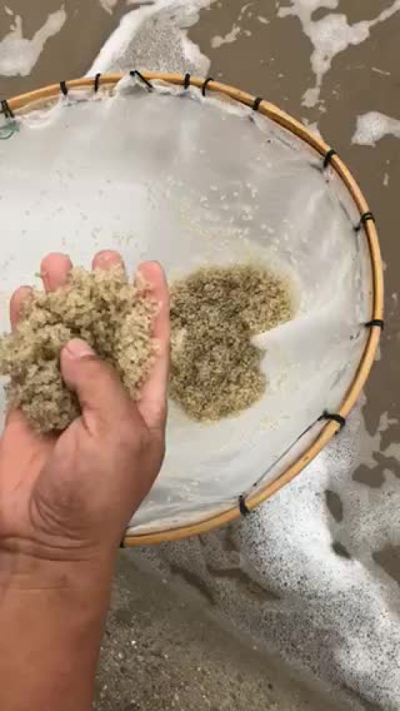 长江一号绒毛蟹，一斤35头左右