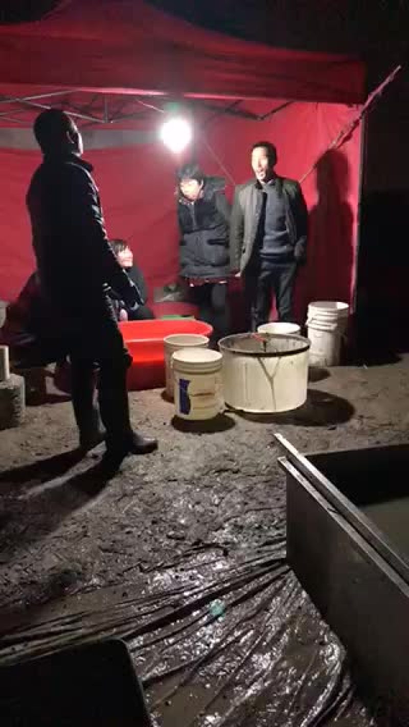 长江一号绒毛蟹，一斤35头左右