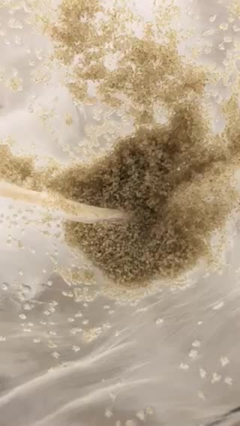 长江一号绒毛蟹，一斤35头左右