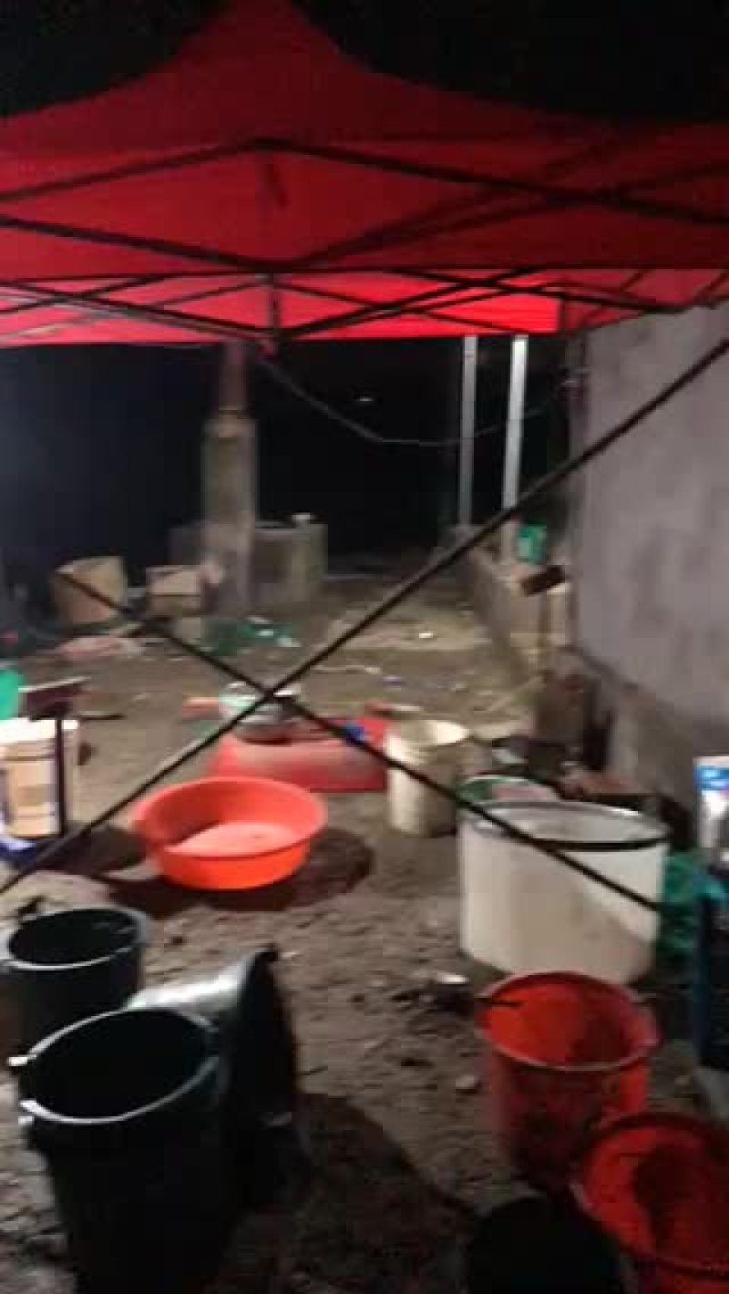 蟹苗。大量销售，六母七公产