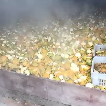 陈皮