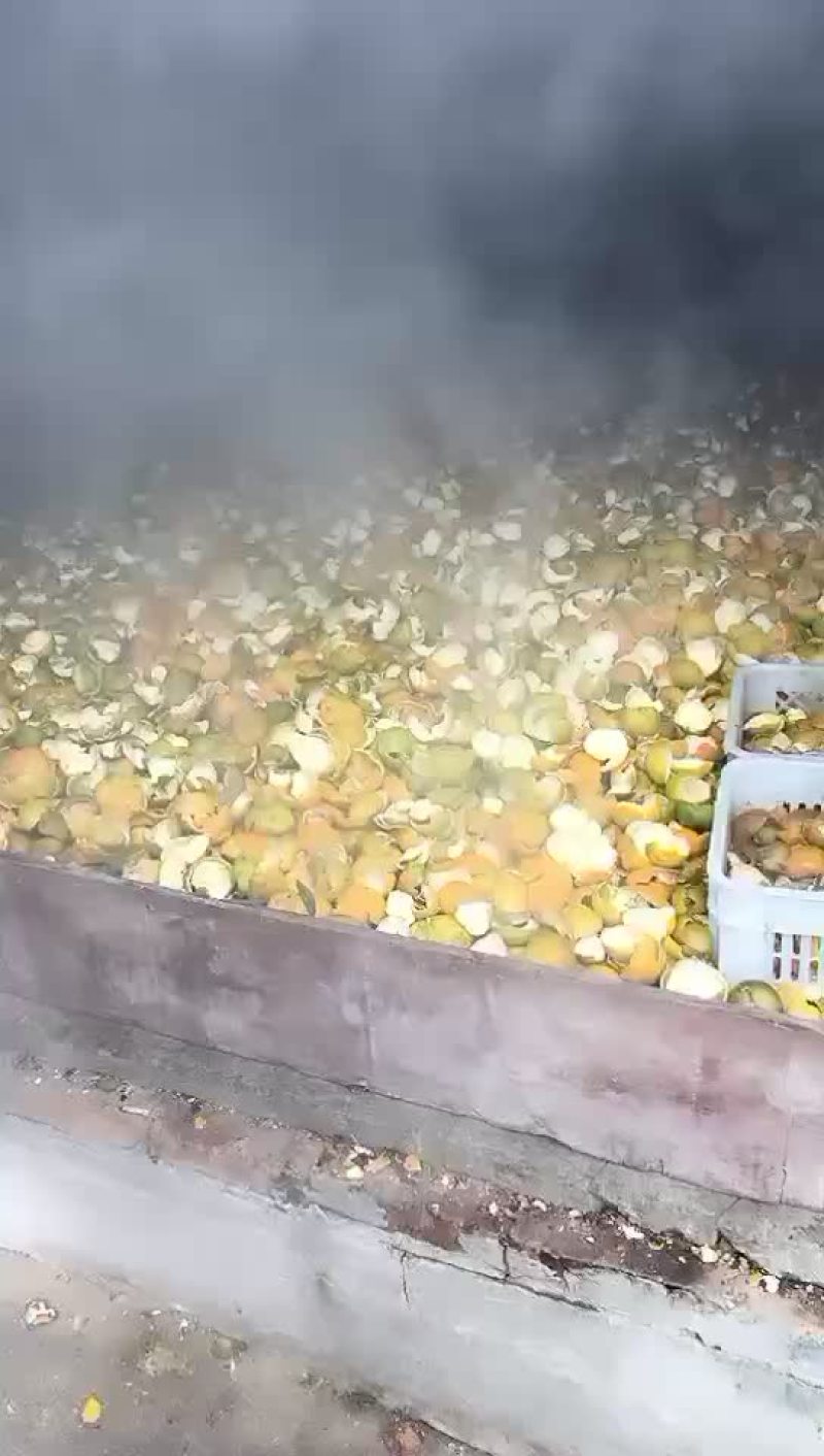 陈皮