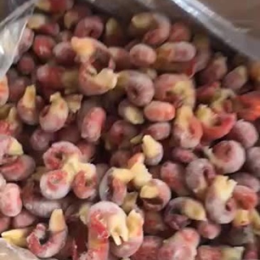 龙虾尾
