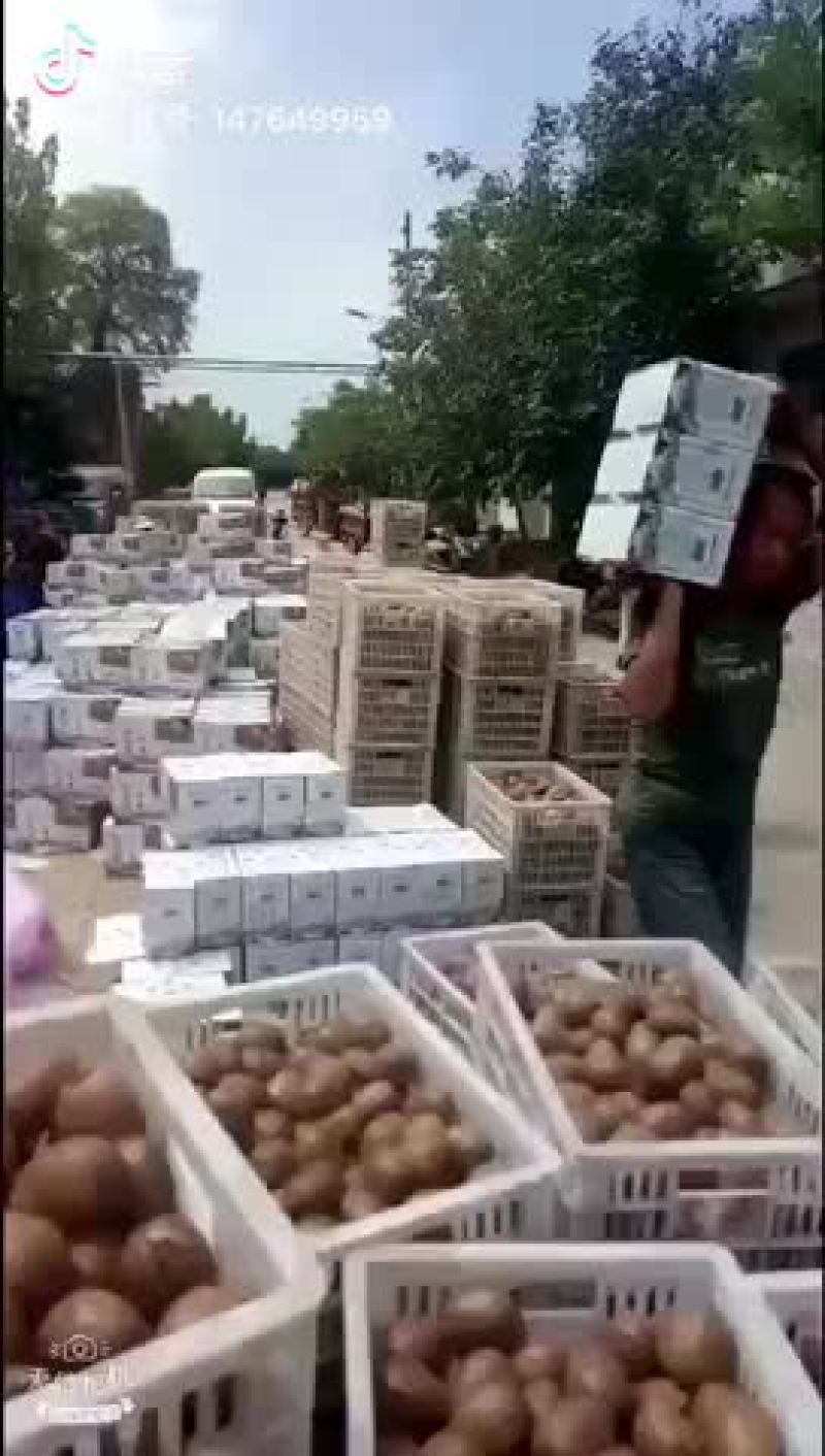 一手货源，批发，一件代发，专供批发市场，价格实惠最低
