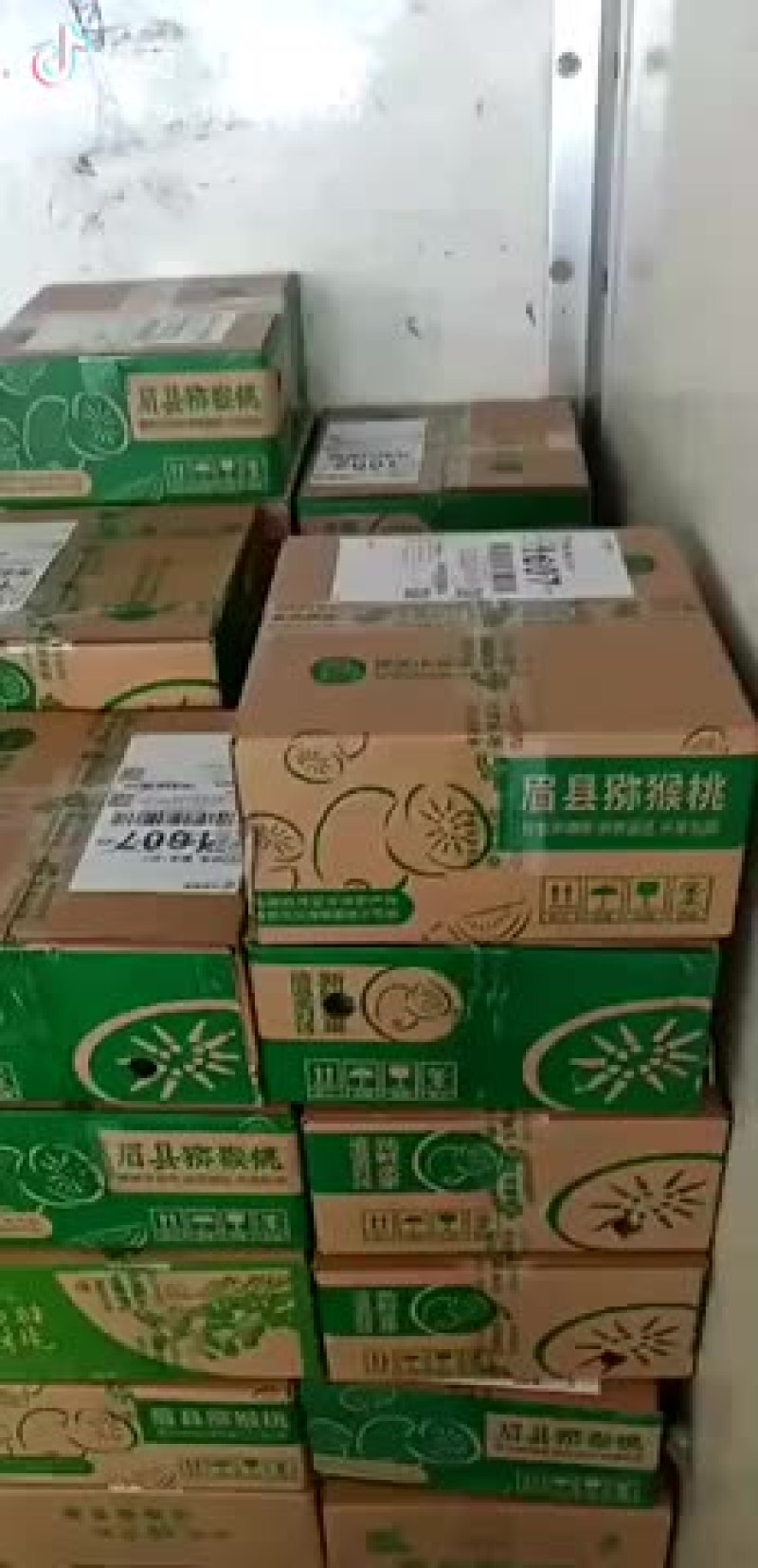 一手货源，批发，一件代发，专供批发市场，价格实惠最低