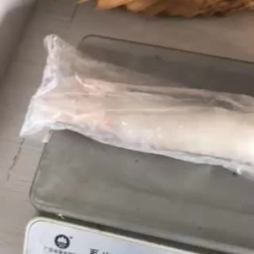 单冻鱿鱼