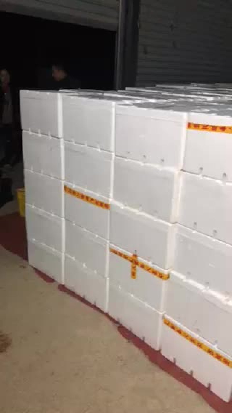 云南石林人参果雪莲果大量供运，一件代发