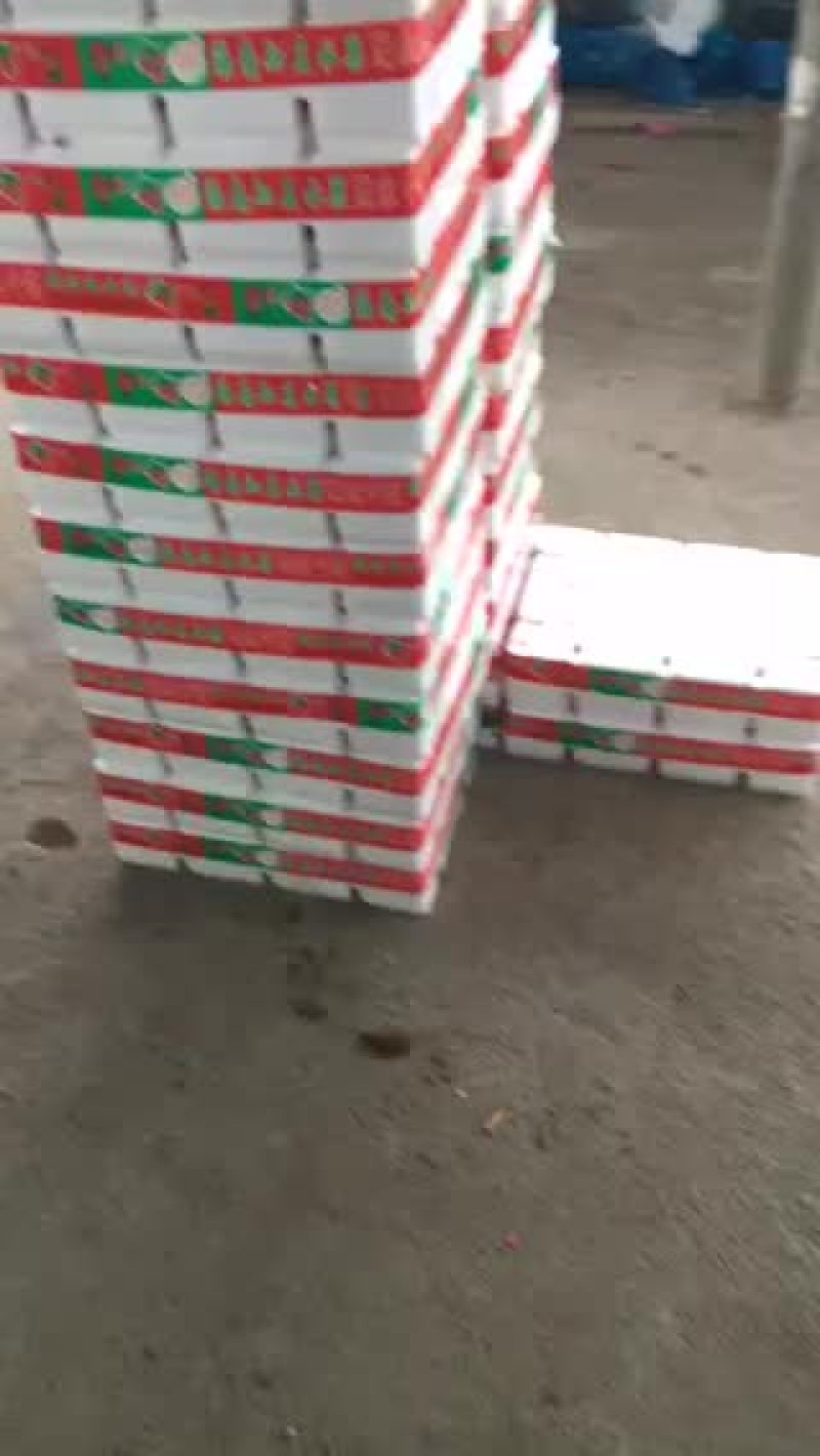 海南陵水千禧圣女果