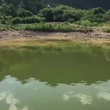 好水原