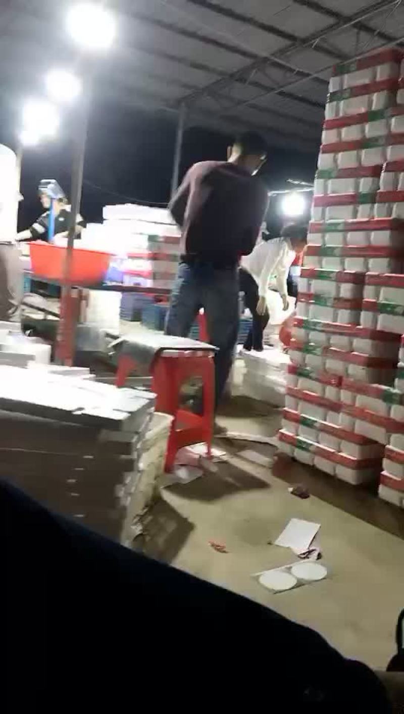 千禧圣女果