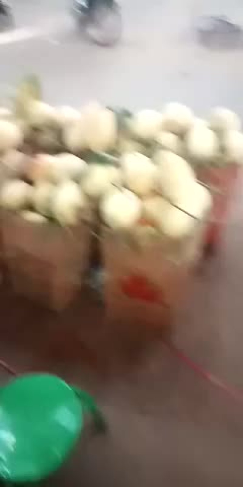 白玉龙香瓜有老板需要吗