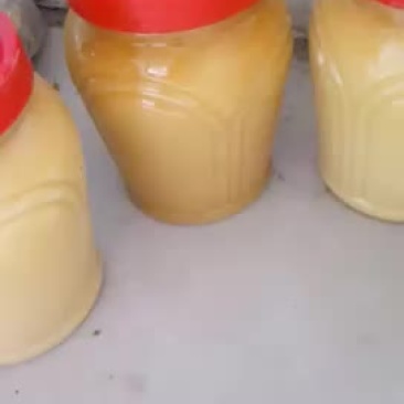 野生土蜂蜜，绝对纯正。假一赔十