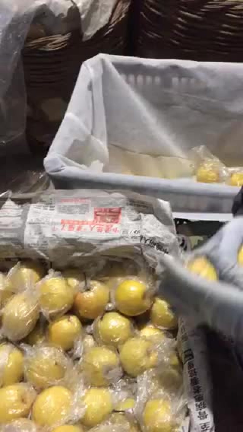 蜜梨