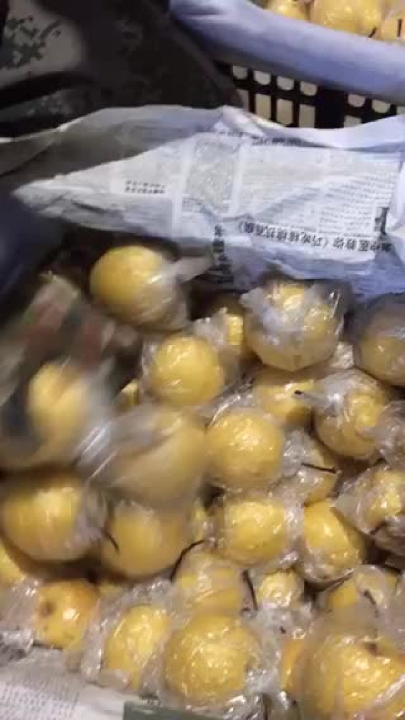 蜜梨