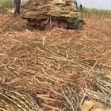 家有良田百亩