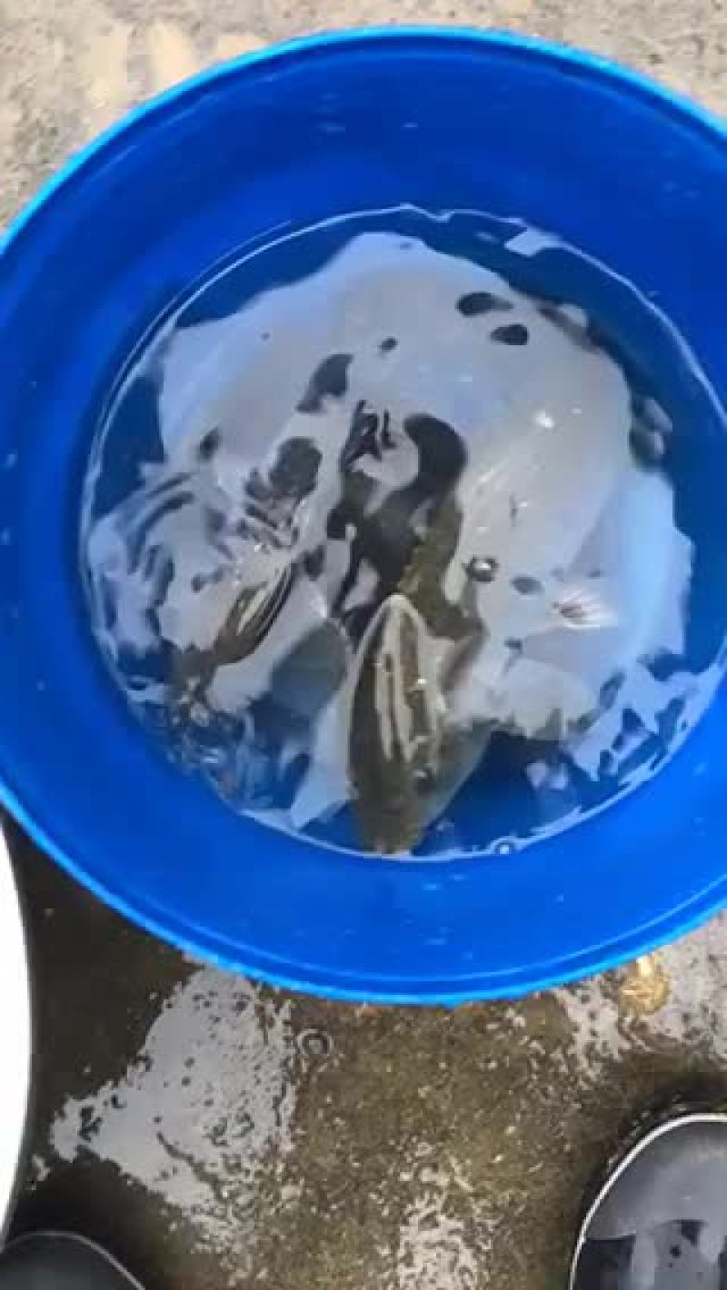 水产