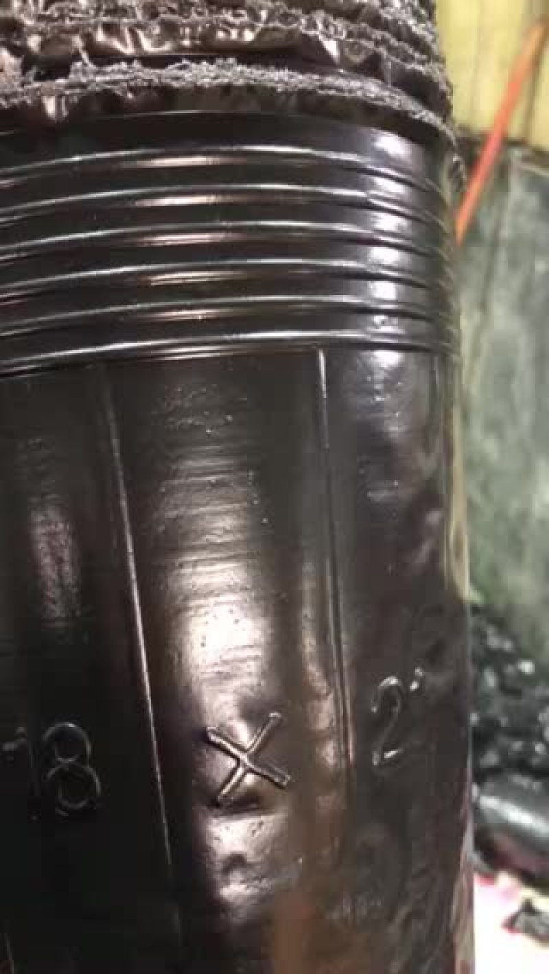 营养杯树苗杯