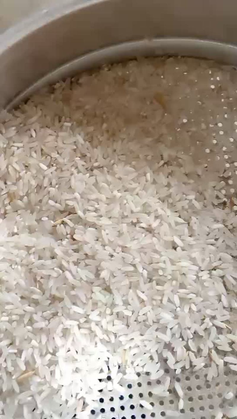 水稻