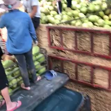 椰青椰白都有