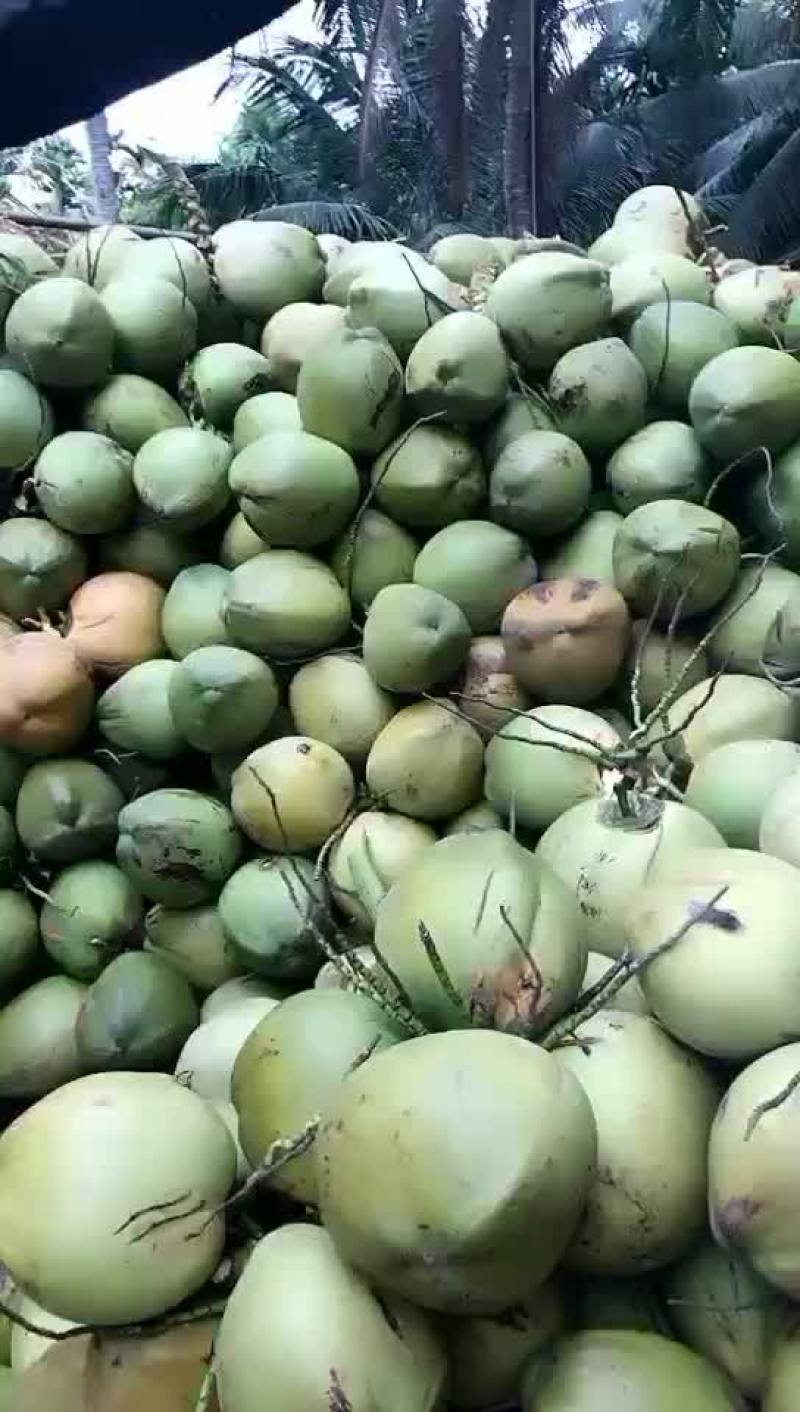 好货发往北京的