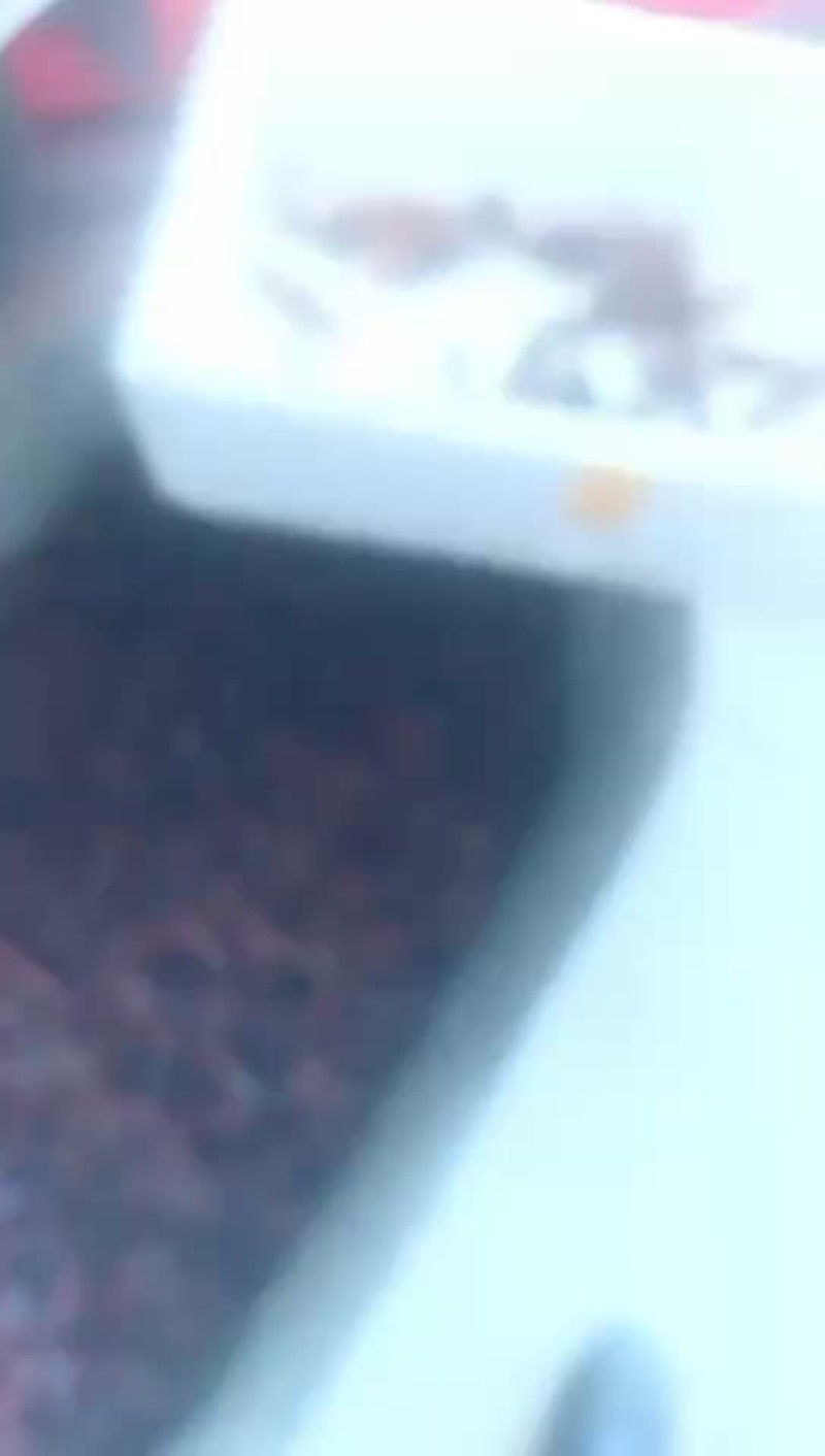 龙虾
