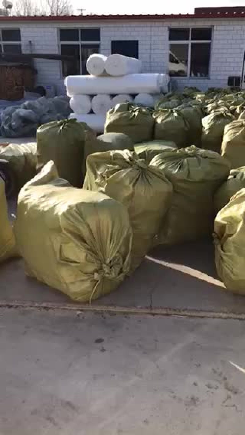 大量美植袋库存