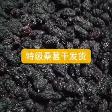 无色素桑葚干