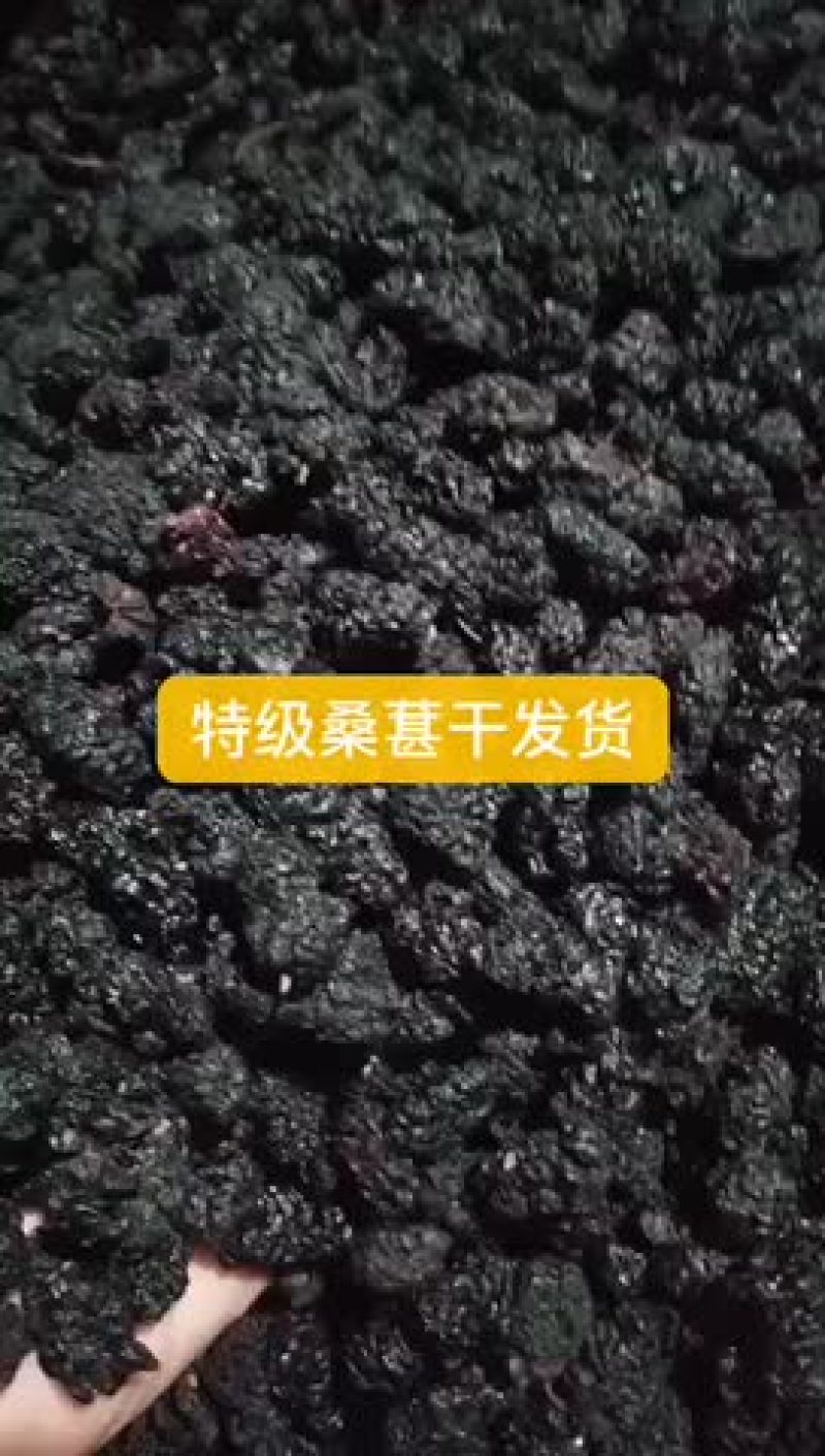 无色素桑葚干