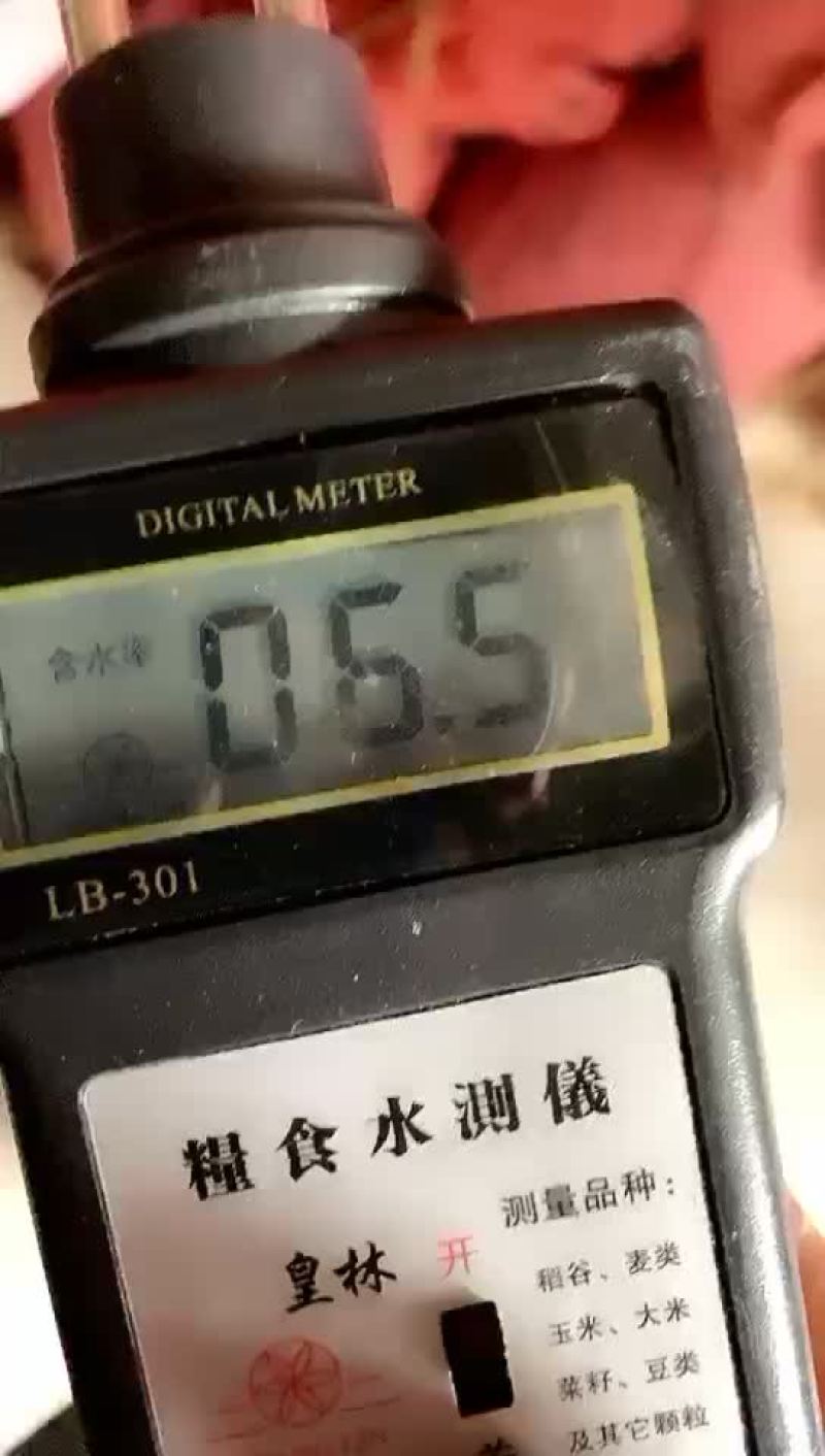 稻谷