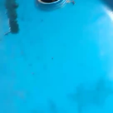 桐油