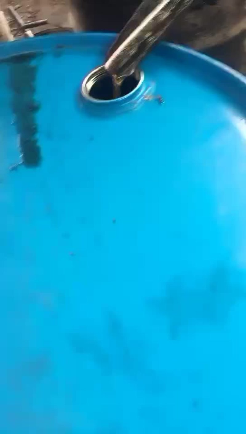 桐油