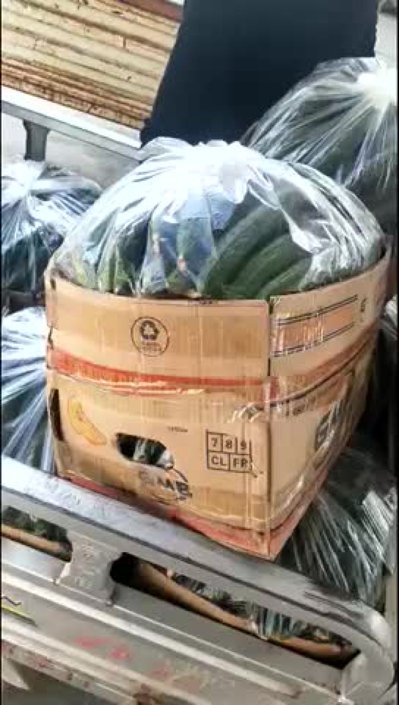 精品黄瓜