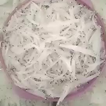 银鱼