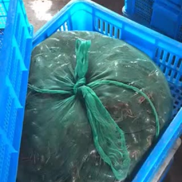 龙虾加微信qqqyyy8818