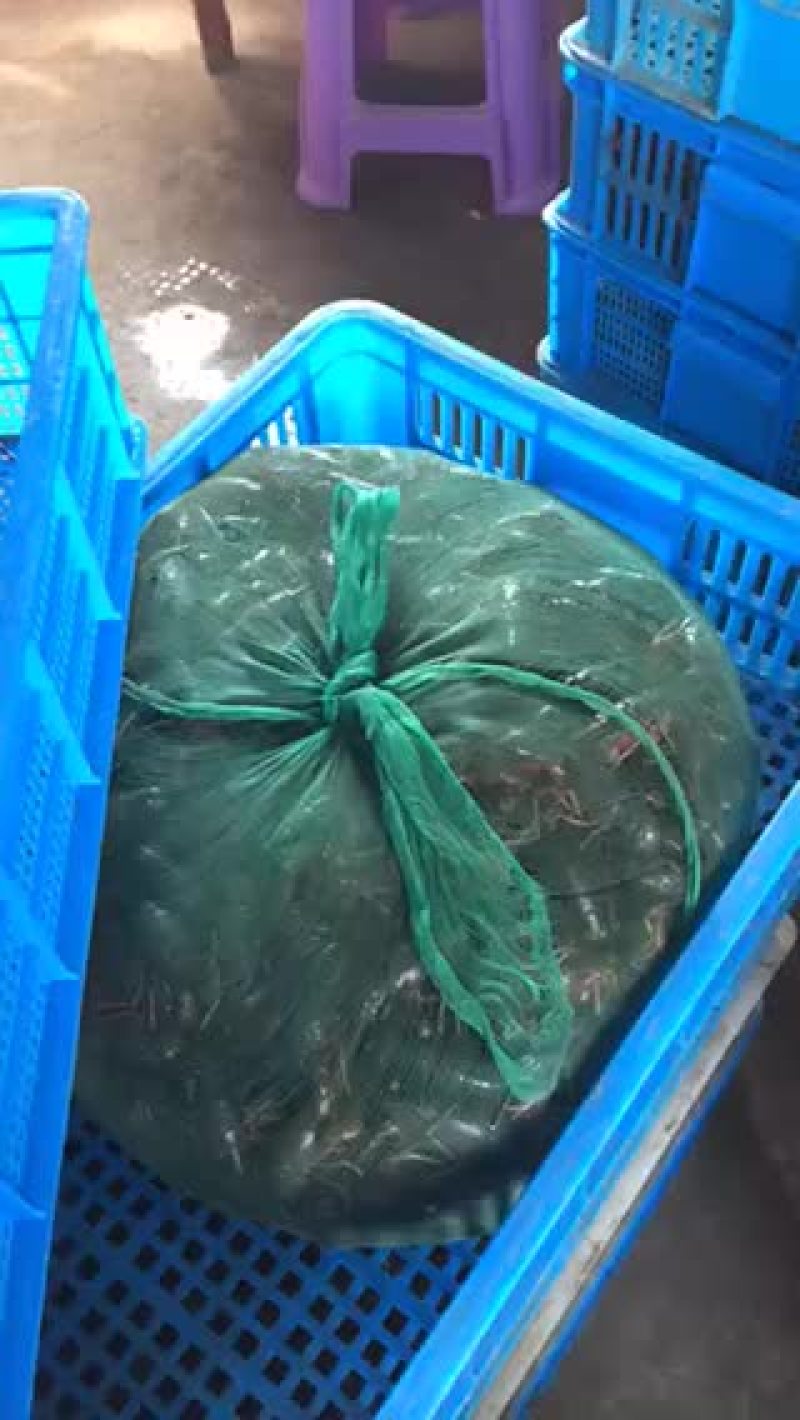 龙虾加微信qqqyyy8818