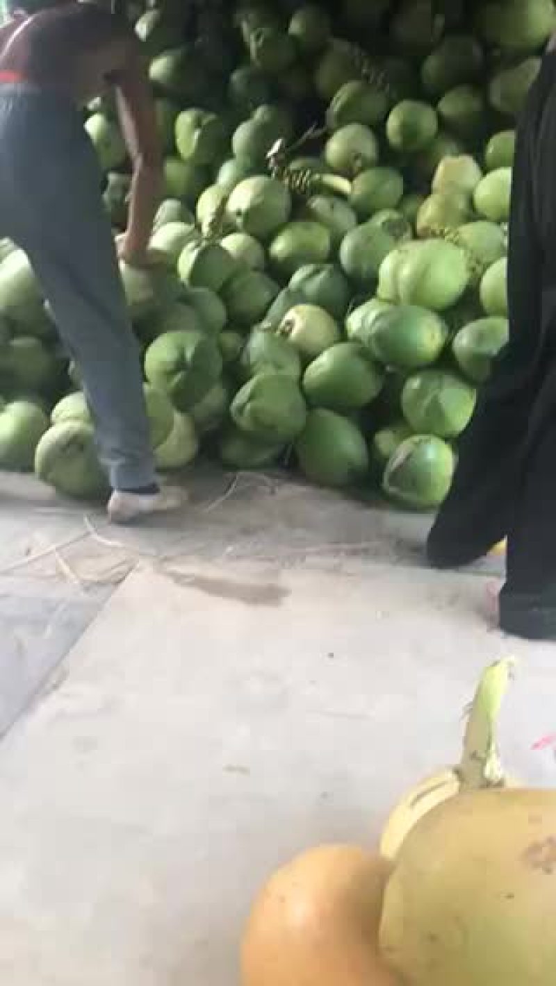漂亮椰青