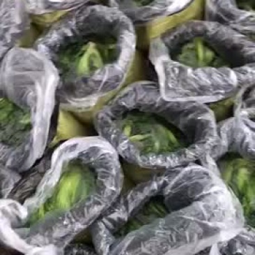 大量酸菜小菜仔，咸菜，大颗菜，袋装，桶装，散