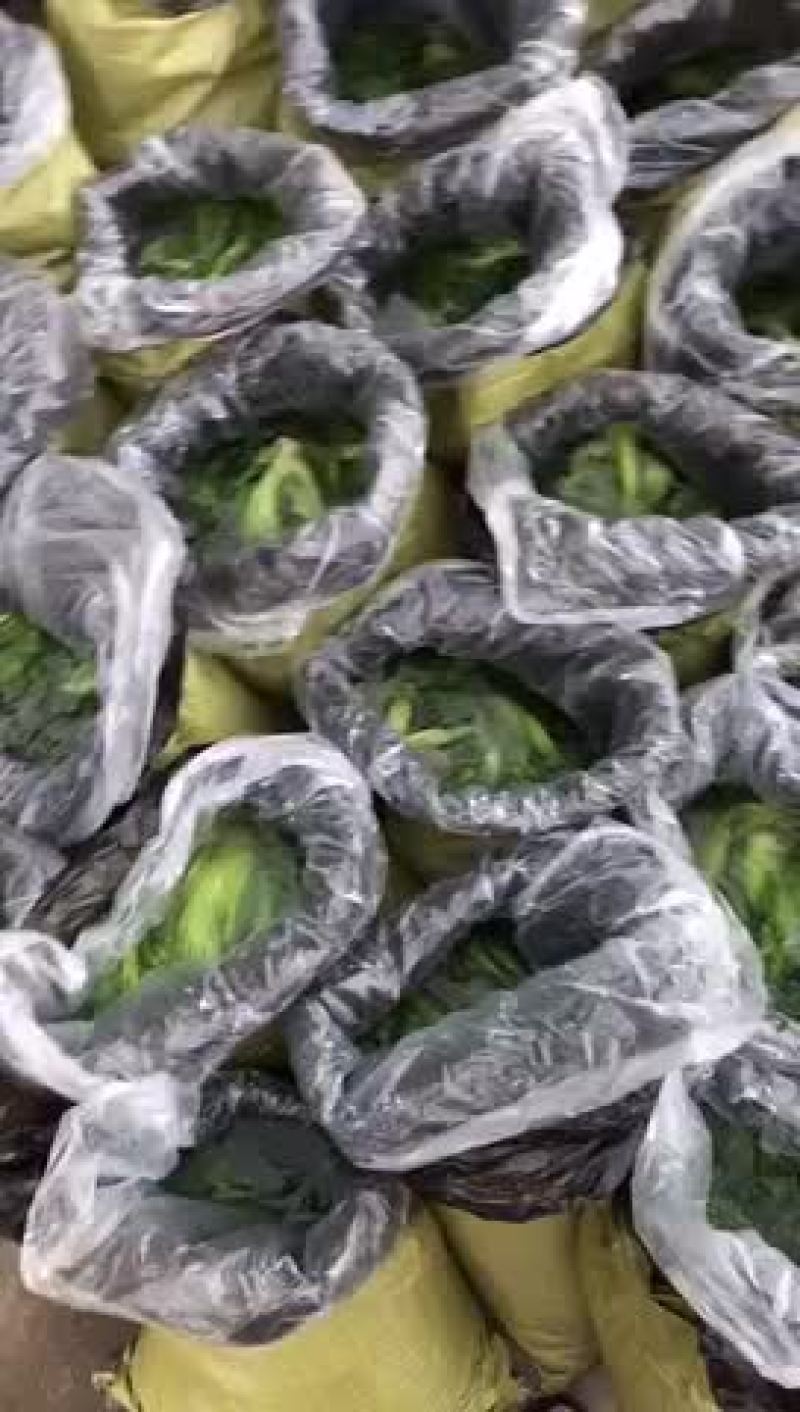 大量酸菜小菜仔，咸菜，大颗菜，袋装，桶装，散