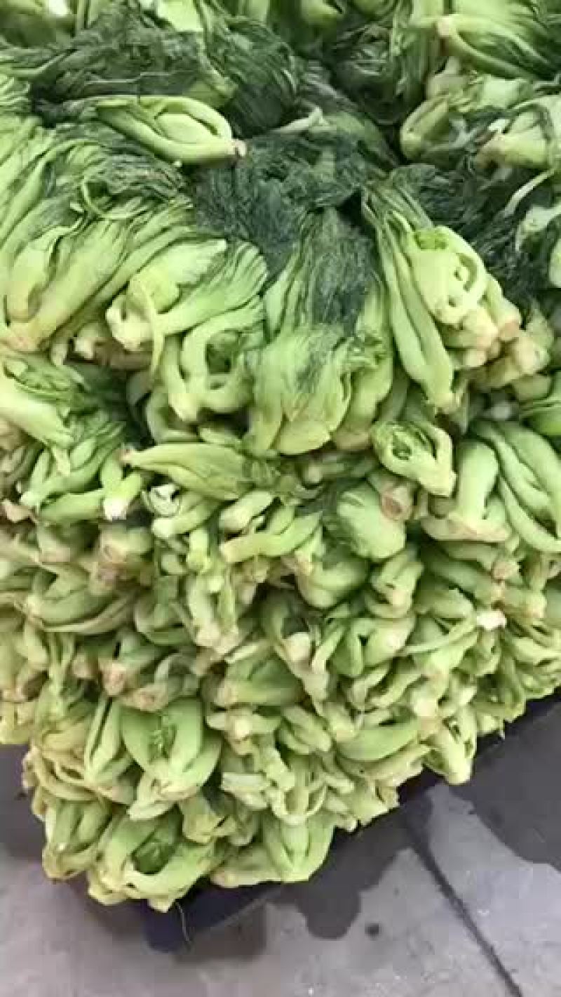 大量酸菜小菜仔，咸菜，大颗菜，袋装，桶装，散