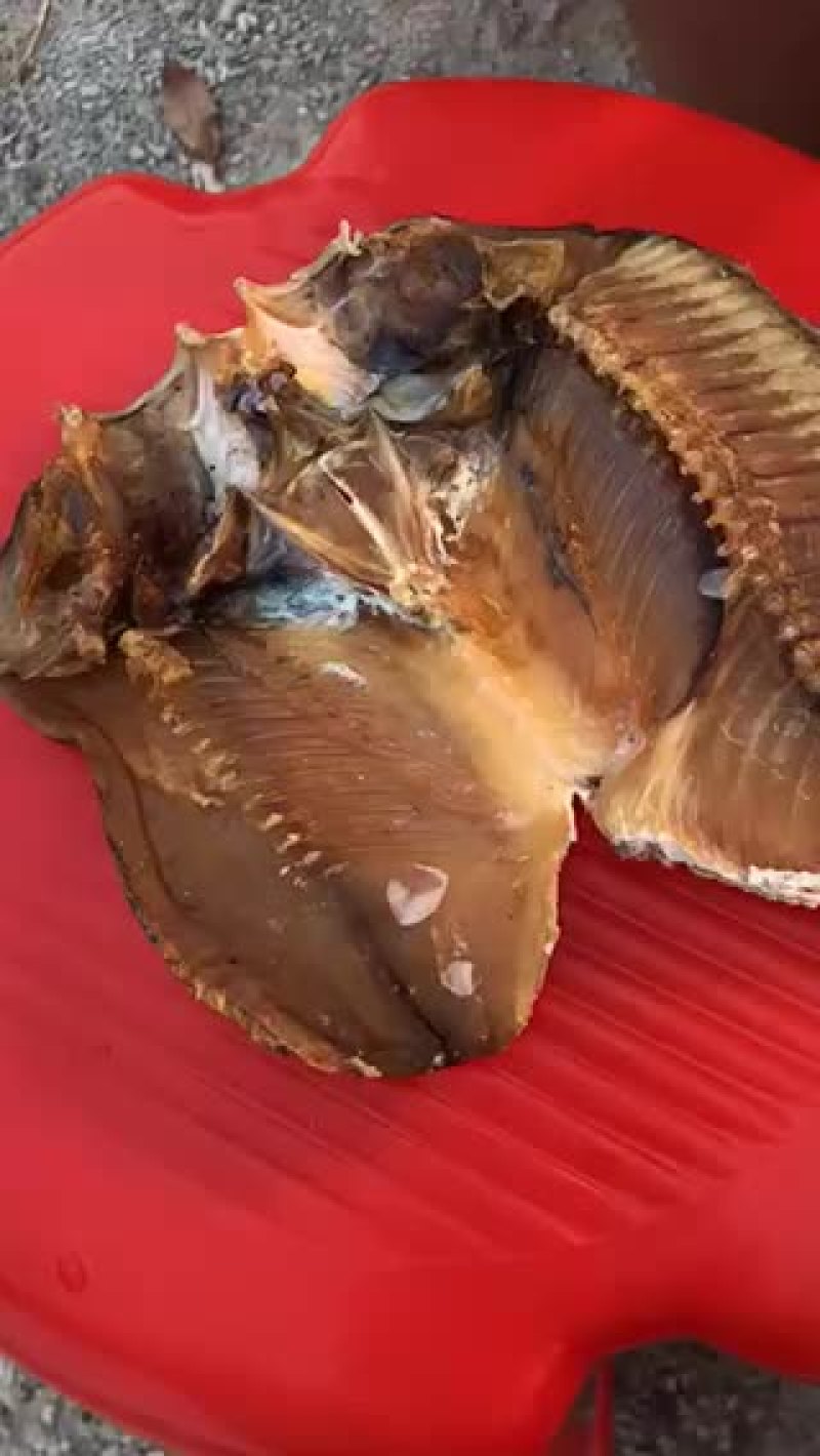 罗非鱼干