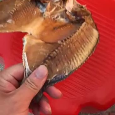 罗非鱼干
