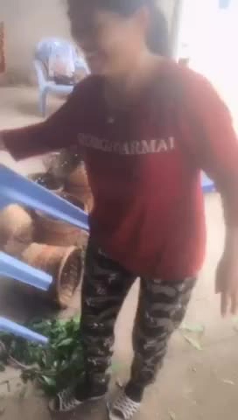 杨梅上市了