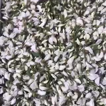 槐花