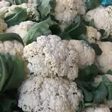 有机花菜