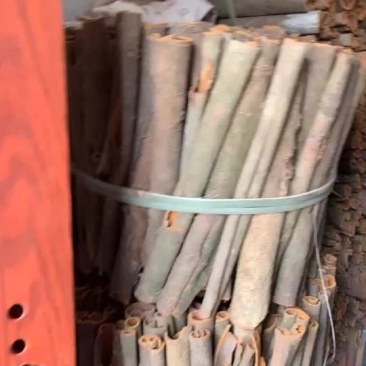 大量靓桂皮