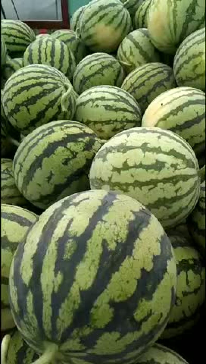 8424