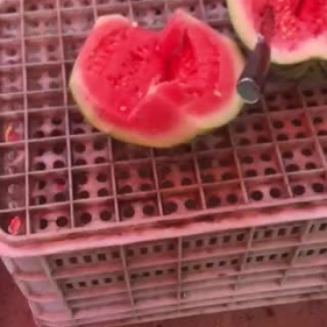 8424