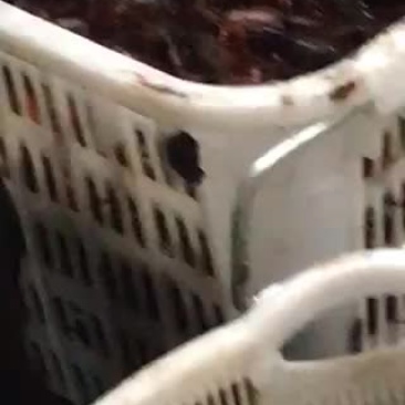 456789通货