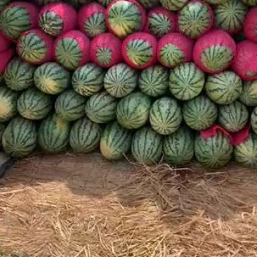 西瓜