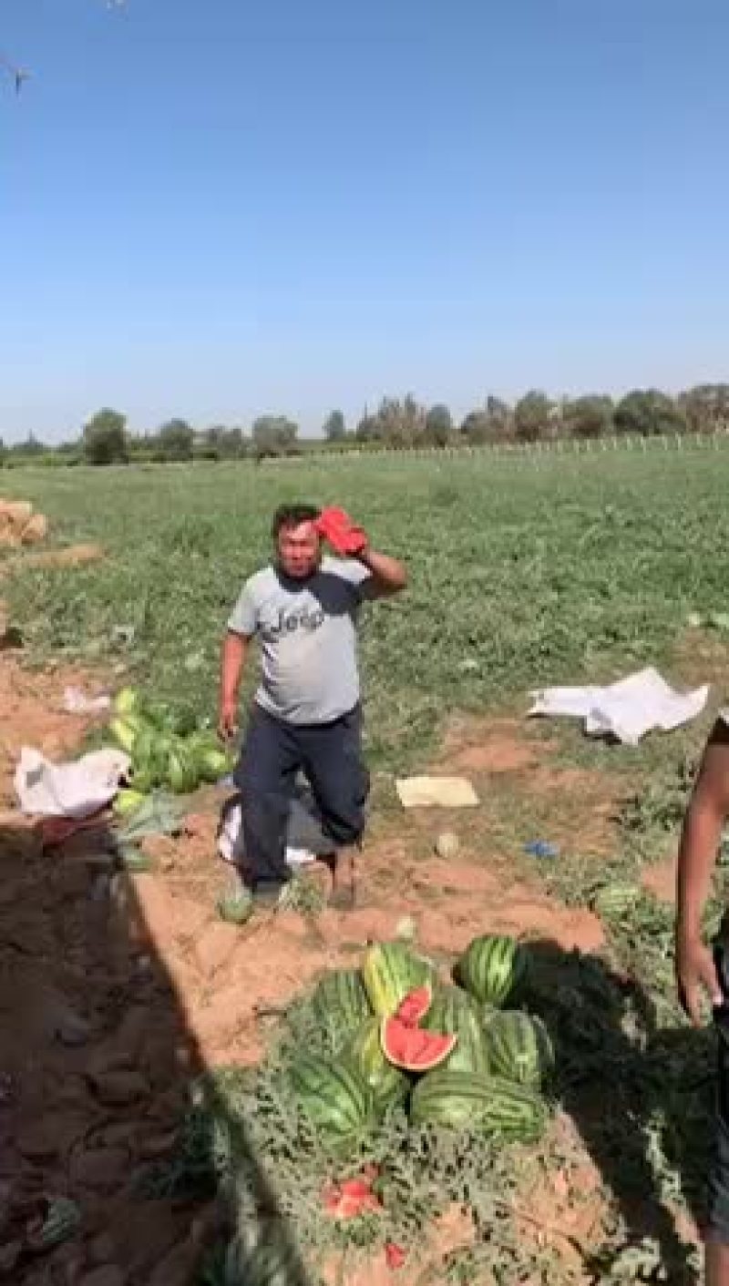 西瓜